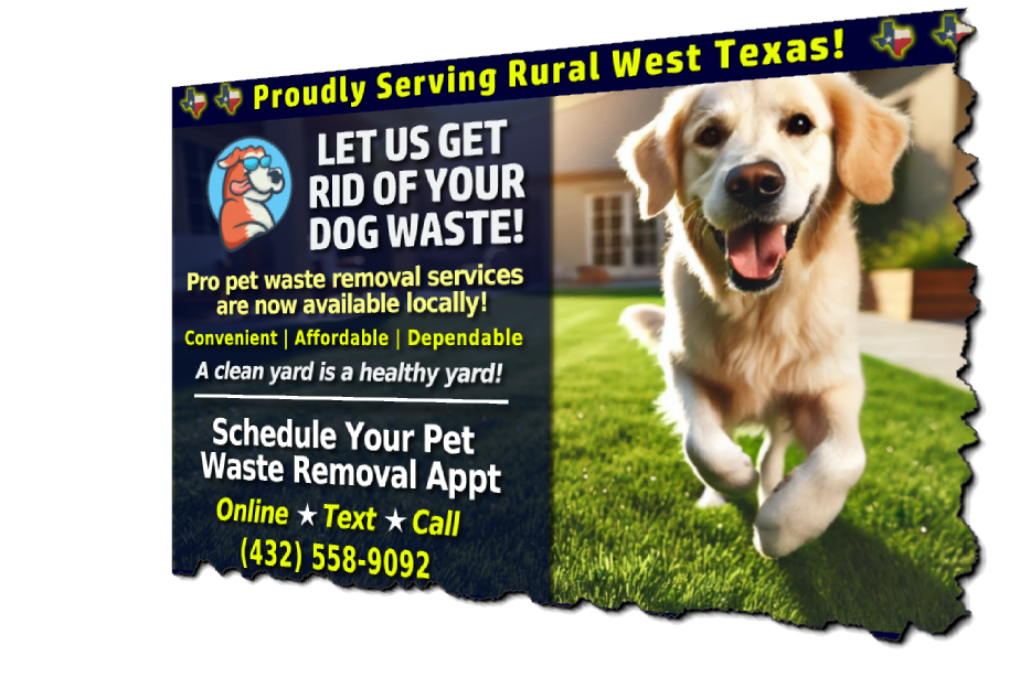 A professional cleaning pet waste in a yard